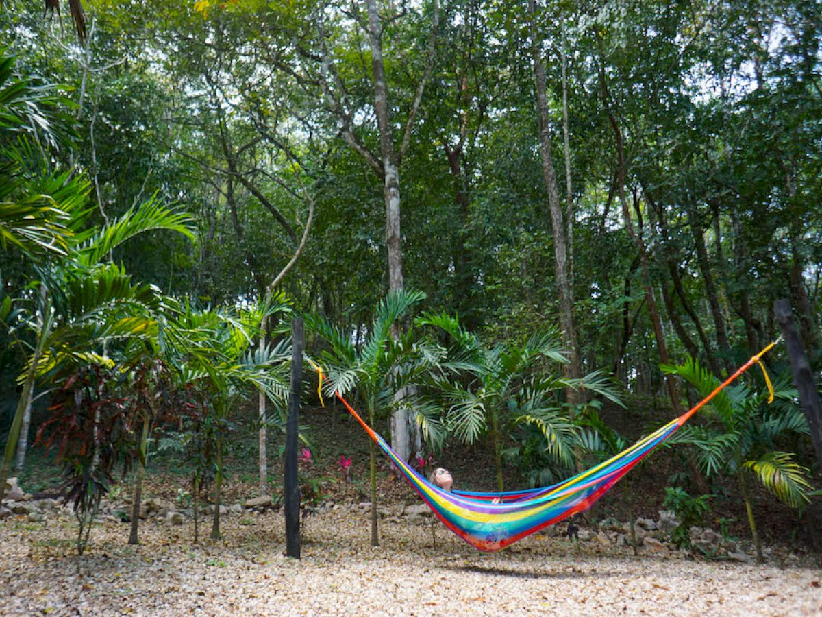 A colorful hammock is strung between two trees in a forested area, with someone relaxing in it amidst the lush greenery, ending the sentence.