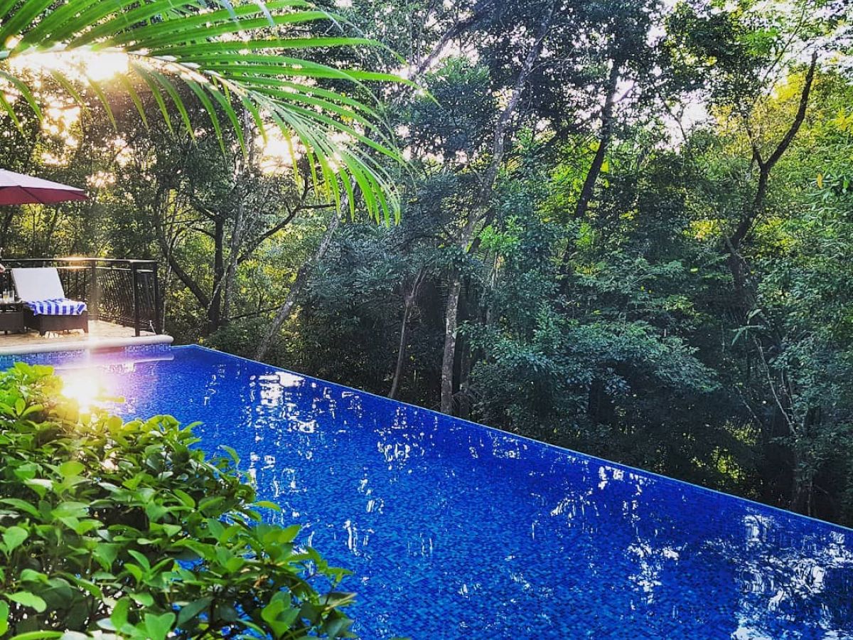 The image shows an infinity pool surrounded by lush greenery and trees, with a deck chair and an umbrella in the background.
