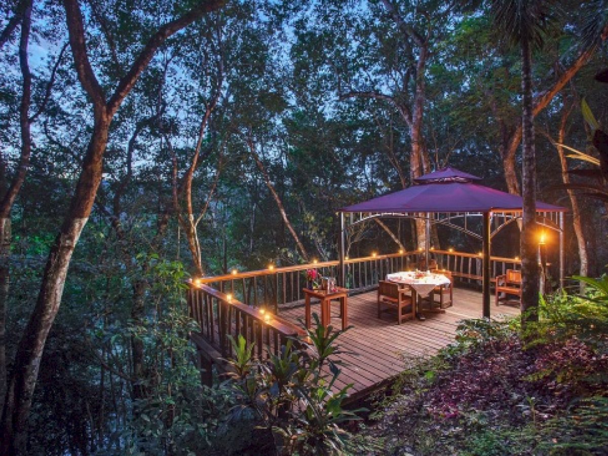 A cozy, illuminated outdoor dining area on a wooden deck surrounded by a dense forest, featuring a table, chairs, and a canopy for shelter.